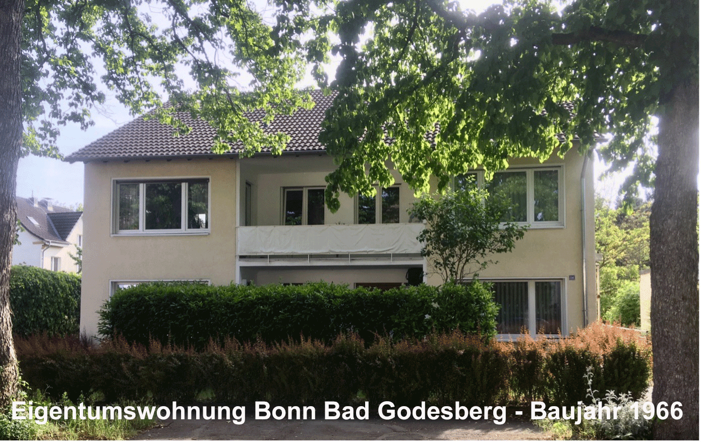 Carus Consulting - Bonn