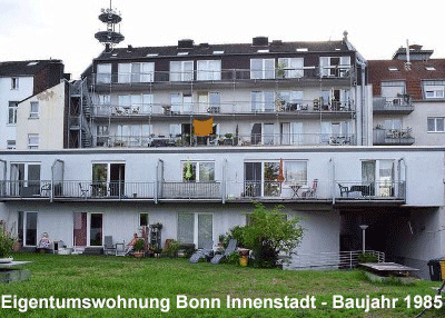 Carus Consulting - Bonn
