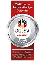 DGuSV 2025